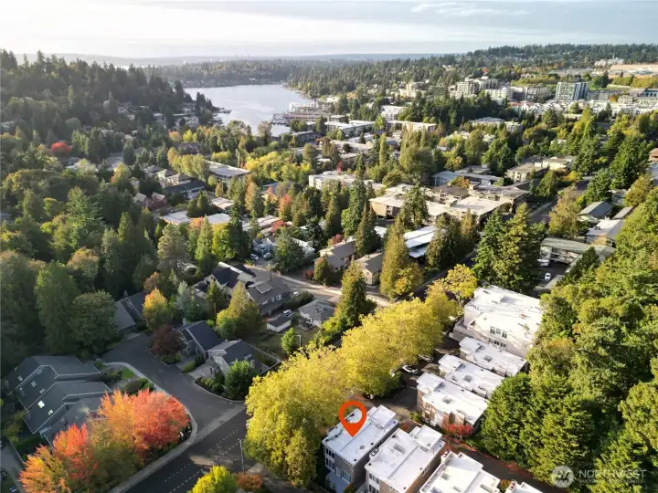 So close to the water