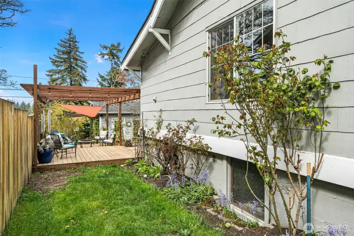 Side yard and deck