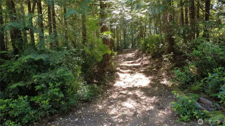 A rough driveway has been established into the view site. Property is beautifully treed.