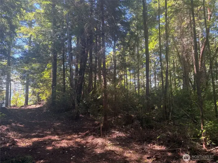 Homesite back from the bluff can be easily cleared to open up the million dollar west facing views!