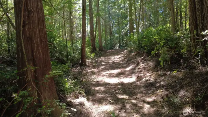 A rough driveway has been established into the view site. Property is level and easliy cleared for RV or homesite.
