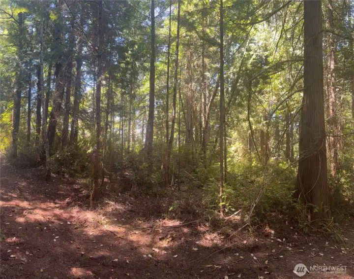Homesite back from the bluff can be easily cleared to open up the million dollar west facing views!