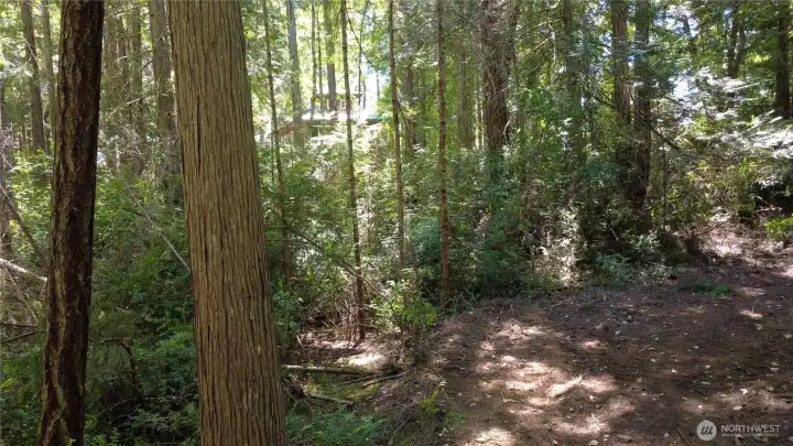 Private setting with an established home on the property to the south.