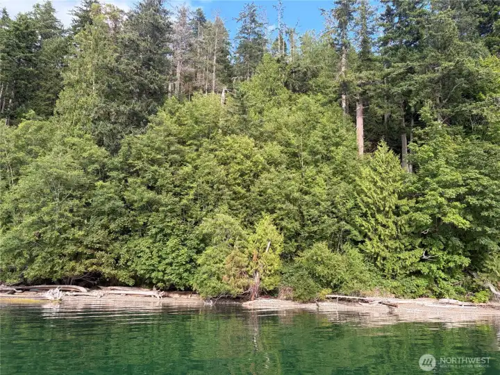 You can easily row from the community beach to your own beach! Beach at high tide.