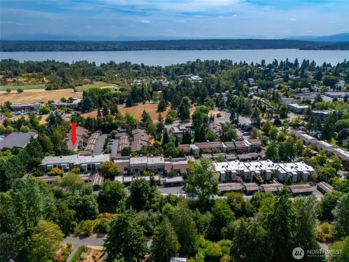 Parkpoint in the foreground. Magnuson Park and Lake Washington's recreational activities in the background. The arrow indicates 5858 NE Parkpoint Way.