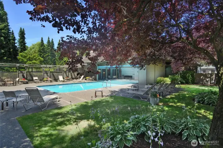 Poolside gardens provide an wonderful place to relax.