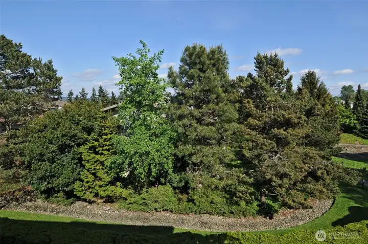 The landscaping paths and gardens are a major asset of the 9 acre community.