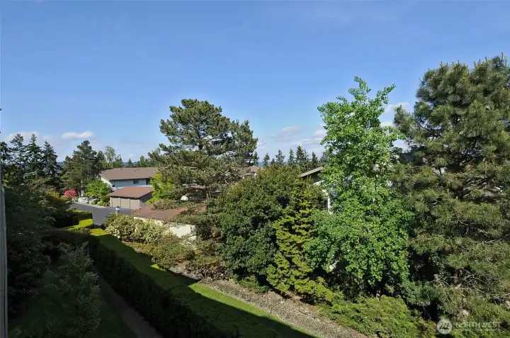 Bright seasonal colors are provided by the lush landscaping.