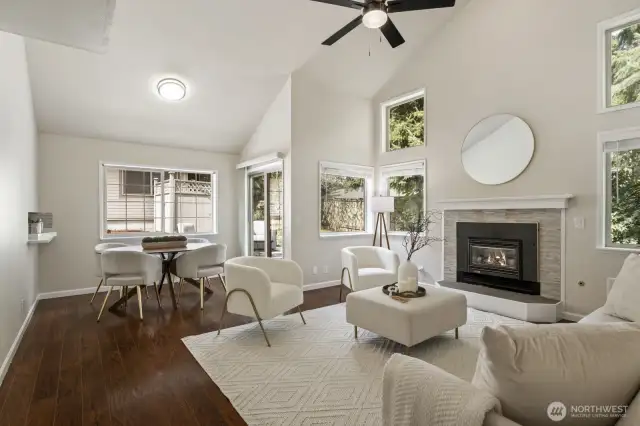 Gas fireplace