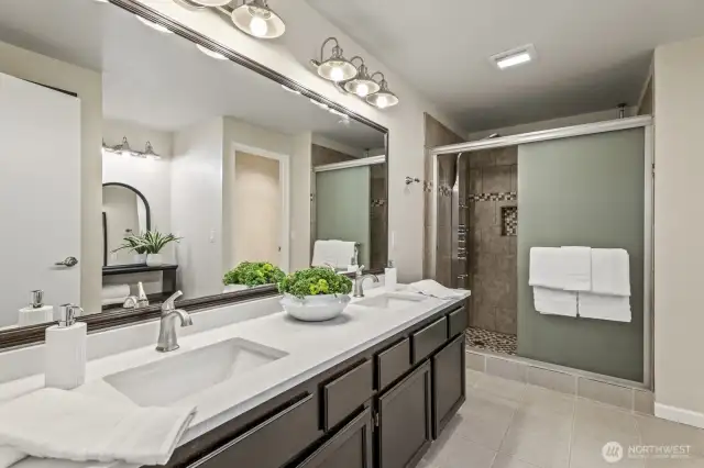 new quartz counters, sinks and facets in the primary bath