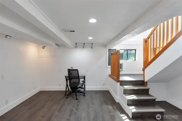 Lower floor family room