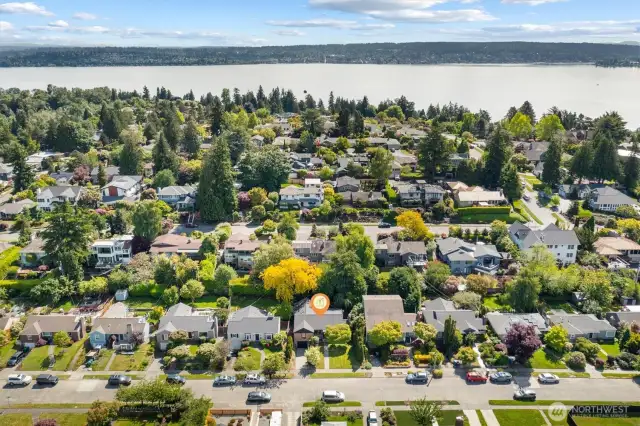 Aerial photo looking east. You can see Lake Washington from this photo. Coveted Belvedere Terrace neighborhood. Only minutes to the UW, Children's Hospital, 520, downtown and Amazon. Location, location, location!!!
