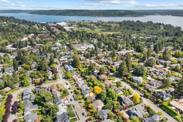 Aerial photo looking north. You can see Lake Washington from this photo. Coveted Belvedere Terrace neighborhood. Only minutes to the UW, Children's Hospital, 520, downtown and Amazon. Location, location, location!!!