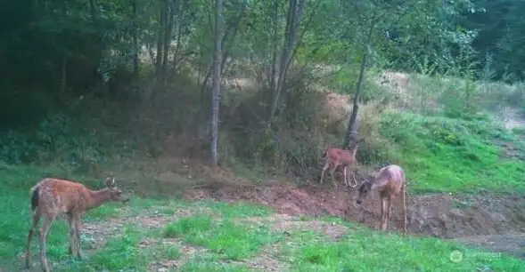 Abundant wildlife right out your front door