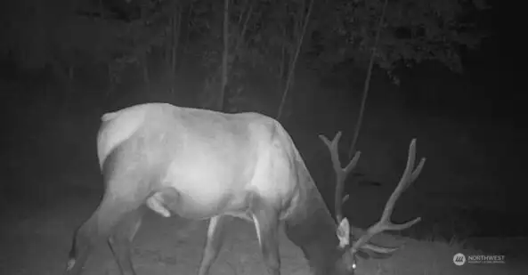 Abundant wildlife right out your front door