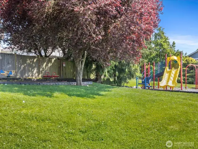 Large community play structure