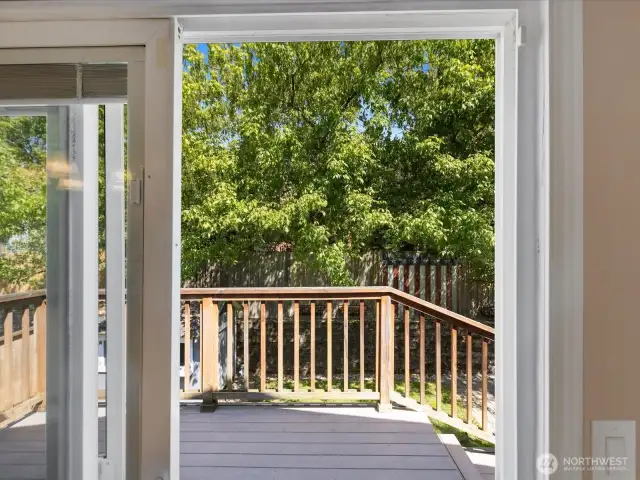 Looking out of slider from dining room to back yard