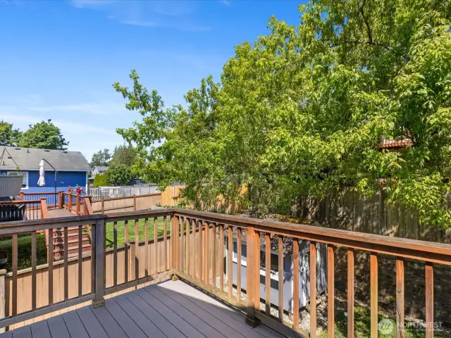 Fully fenced backyard, with mature tree canopy to provide shade in warmer months