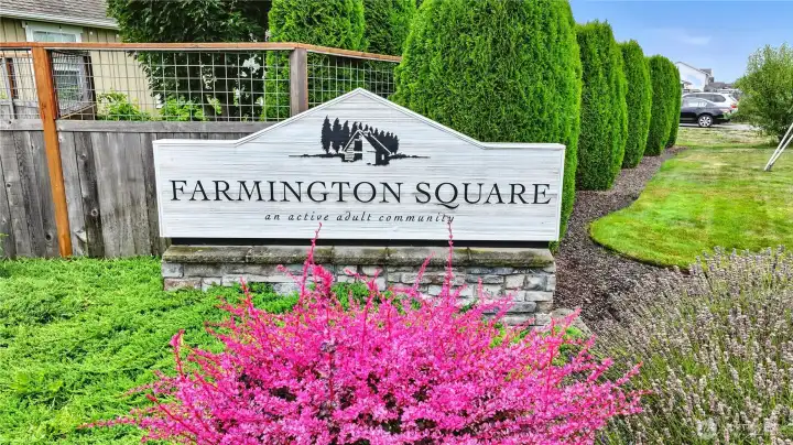 Welcome to Farmington Square