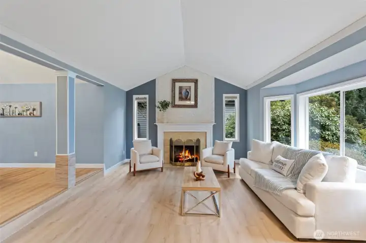 Vaulted-ceiling  Living room