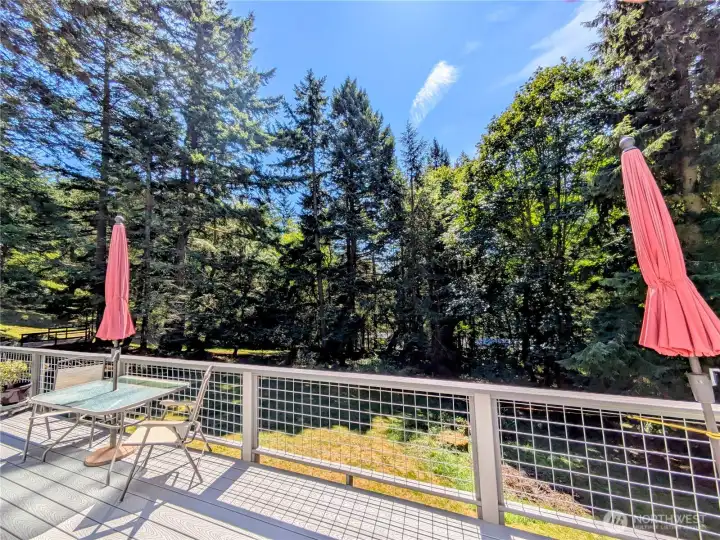 Sunny south facing deck with surrounding trees for privacy. The decks were recently rebuilt with Trex boards on the floor and railings. Easy maintenance!