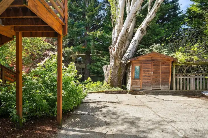 Storage shed in the back yard off the driveway.