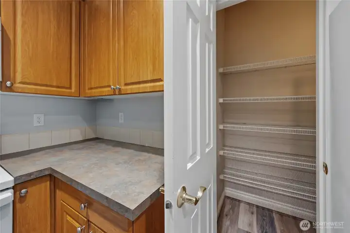 And did we mention the huge pantry? Abundant storage space that takes this kitchen to the next level. And did we mention the huge pantry? Abundant storage space that takes this kitchen to the next level.
