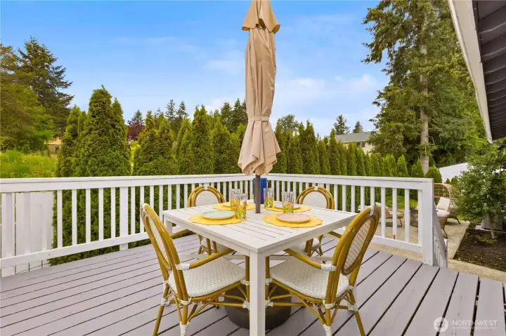 Back deck
