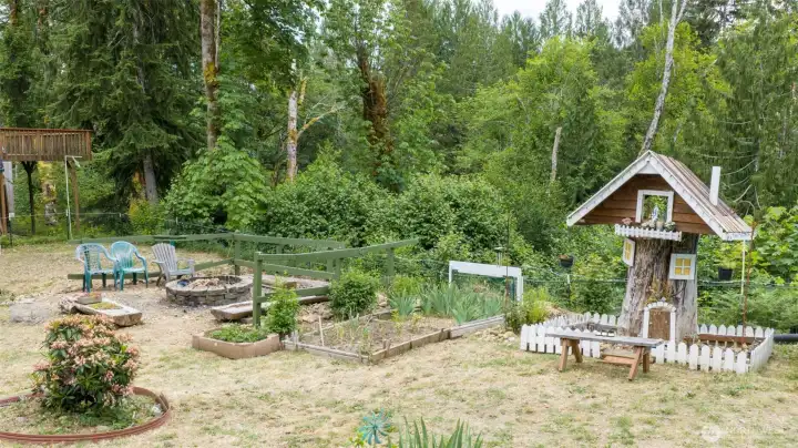 Back yard Back yard