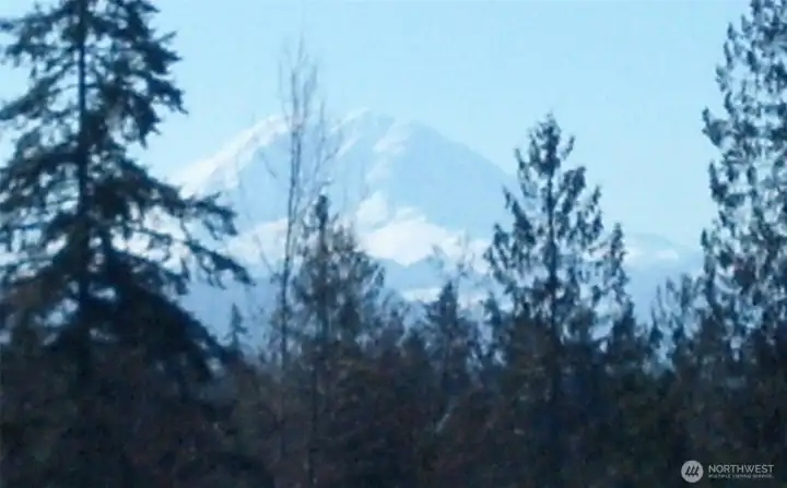 Mount Rainier view, lots face south