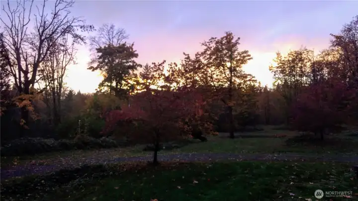 Sunset view