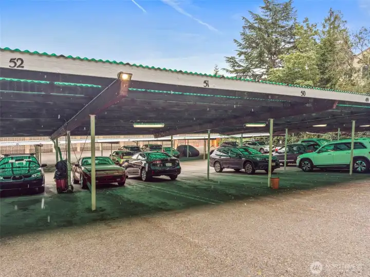 Covered parking spot #51 comes with the unit!