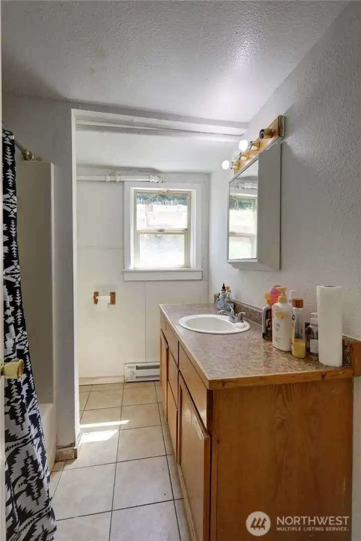 Lower-level bathroom