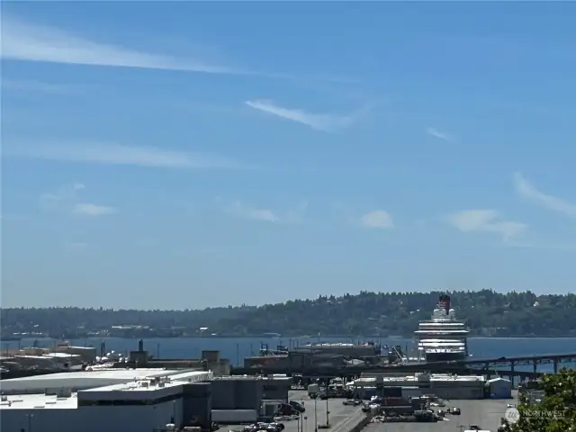Watch the cruise ships dock from your own condo home.