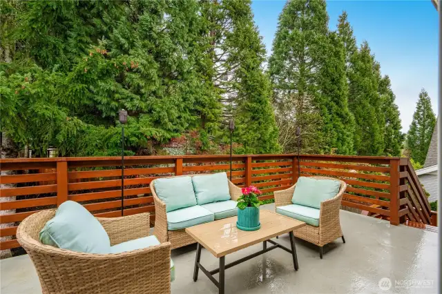 Large Deck