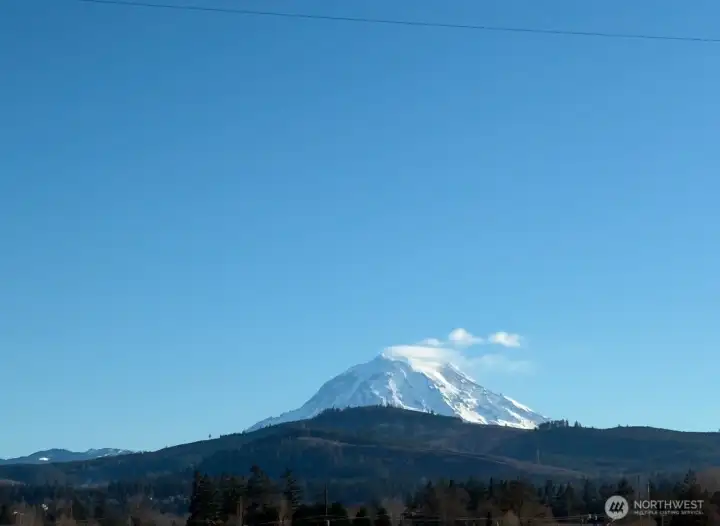 mt Rainier view