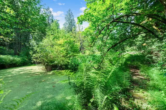 Easily accessible trails in the back yard. Note natural trail on the right of this photo.