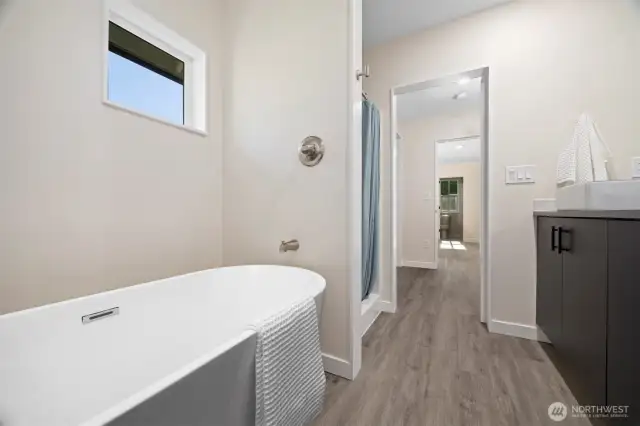 Walk in shower and seperate tub