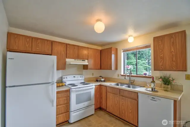 Refrigerator, stove, and dishwasher included.