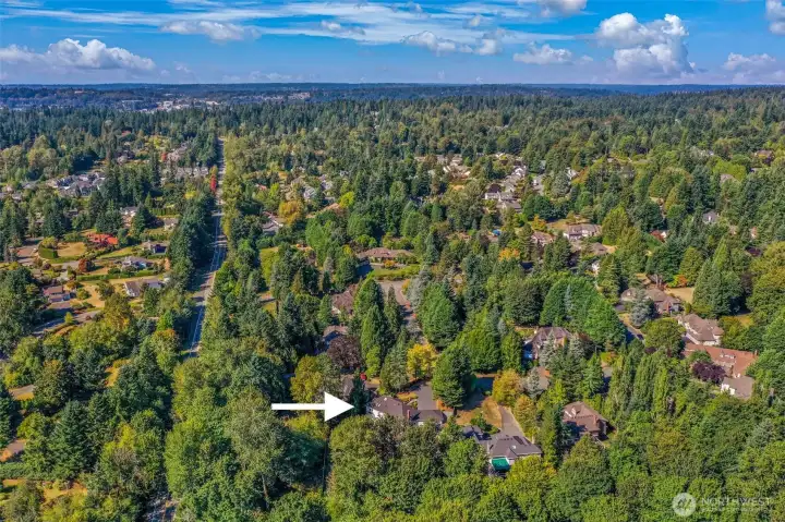 Aerial view of the neighborhood shows the home’s private setting surrounded by trees.