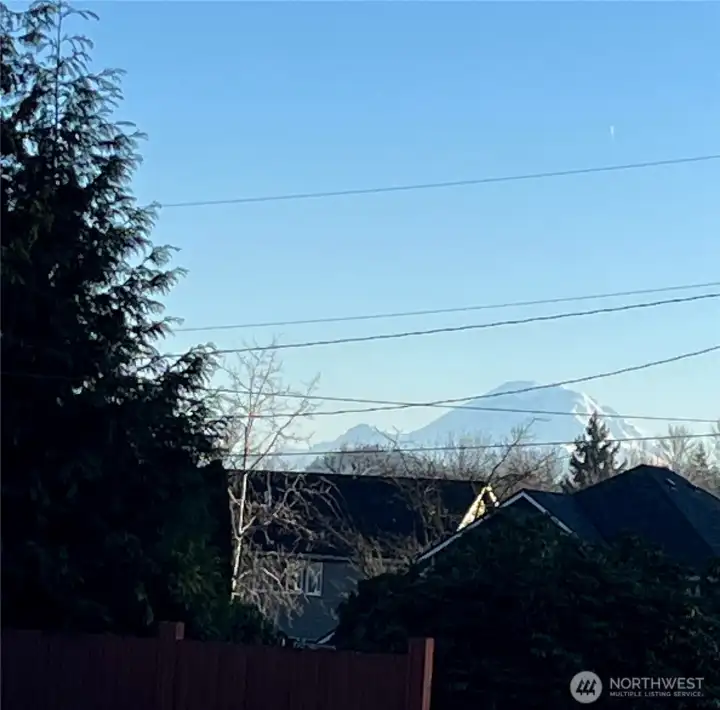 View of Mt Rainier from the street.