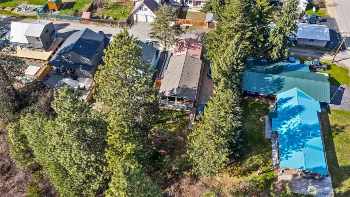 The tree line behind the house is part of the property all the way to the Coal Miner's Trail.