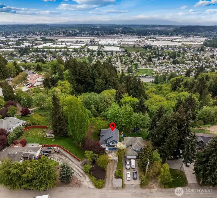 The property blends open space with mature trees, creating a balanced and inviting landscape. It offers room for activities, gardening or simple enjoyment.