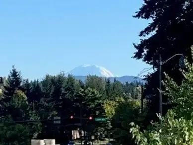 Seasonal views of Mt. Rainier