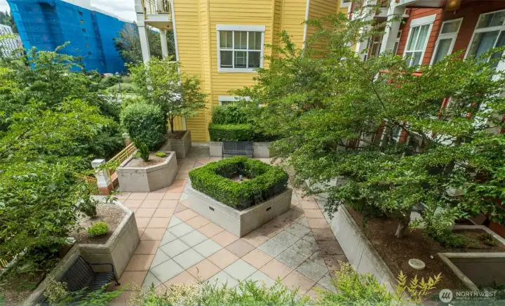 View of courtyard from dining room
