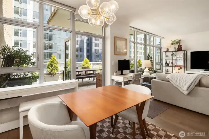 dining / living