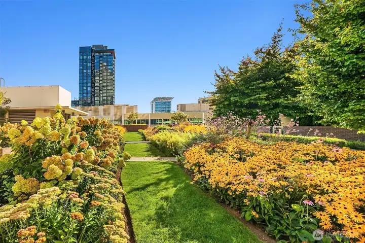 7th floor outdoor park