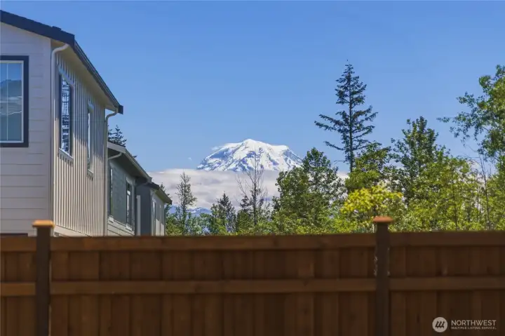 Backyard Mount Rainier View.