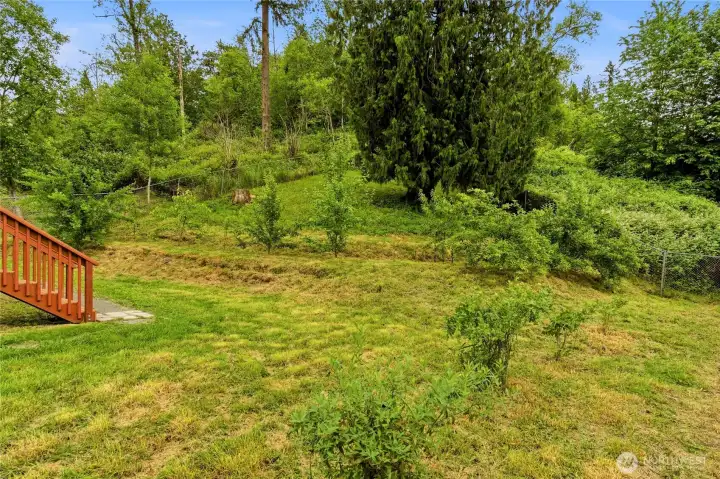 Plenty of space to add more fruit trees. Plenty of space to add more fruit trees.