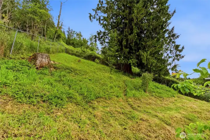 A lot of cool things can be done with the hillside. A lot of cool things can be done with the hillside.